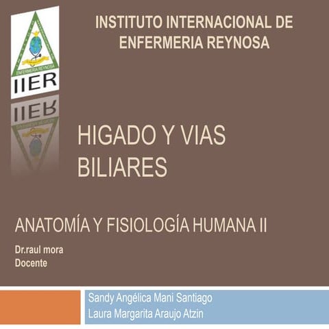 Higado y vias biliares