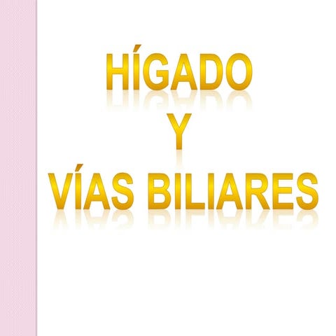 Higado y vias biliares