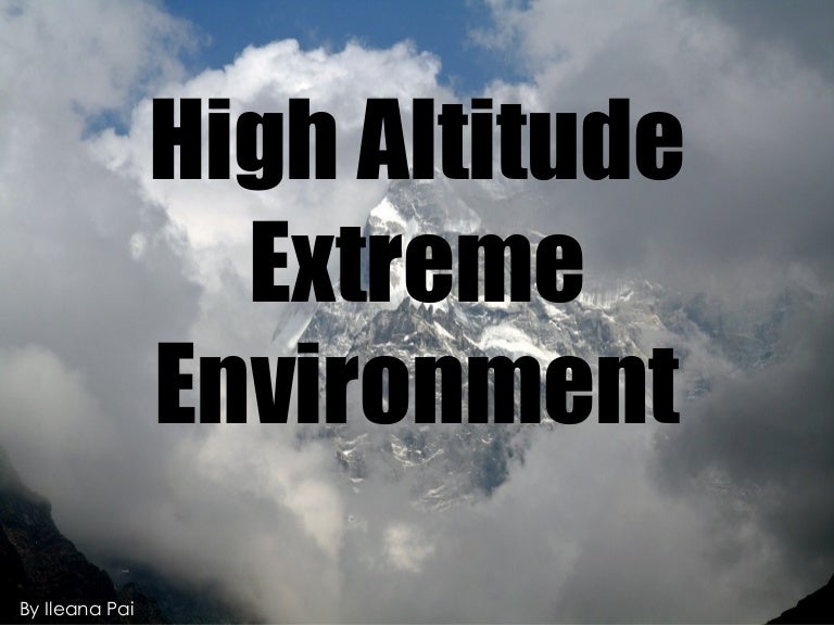 The Human Brain In A High Altitude Natural Environment: A Review – IAZDR