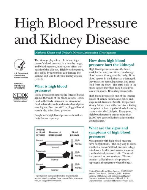 can-high-blood-pressure-lead-to-kidney-failure-here-s-what-you-should