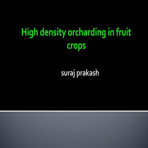 High density orcharding in fruit crops.
