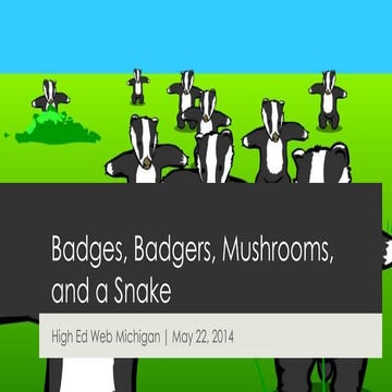 Badges, Badgers, Mushrooms, and a Snake