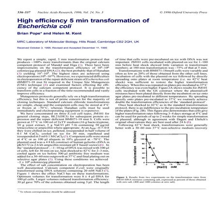 High efficiency 5 min transformation of escherichia coli