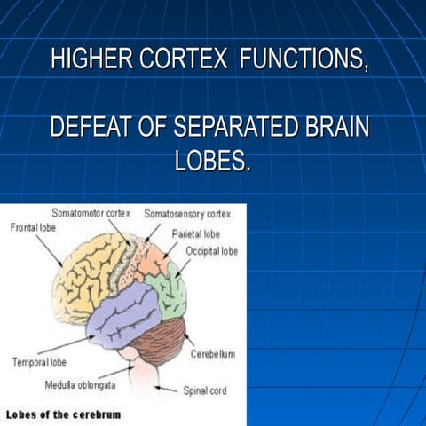 Higher cortex function