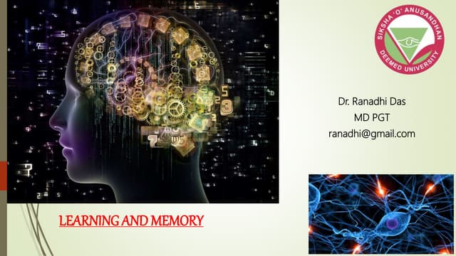 Learning and Memory