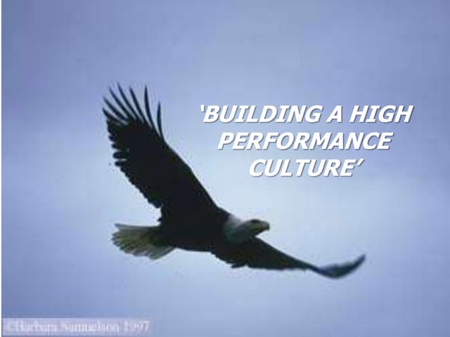 High performance culture