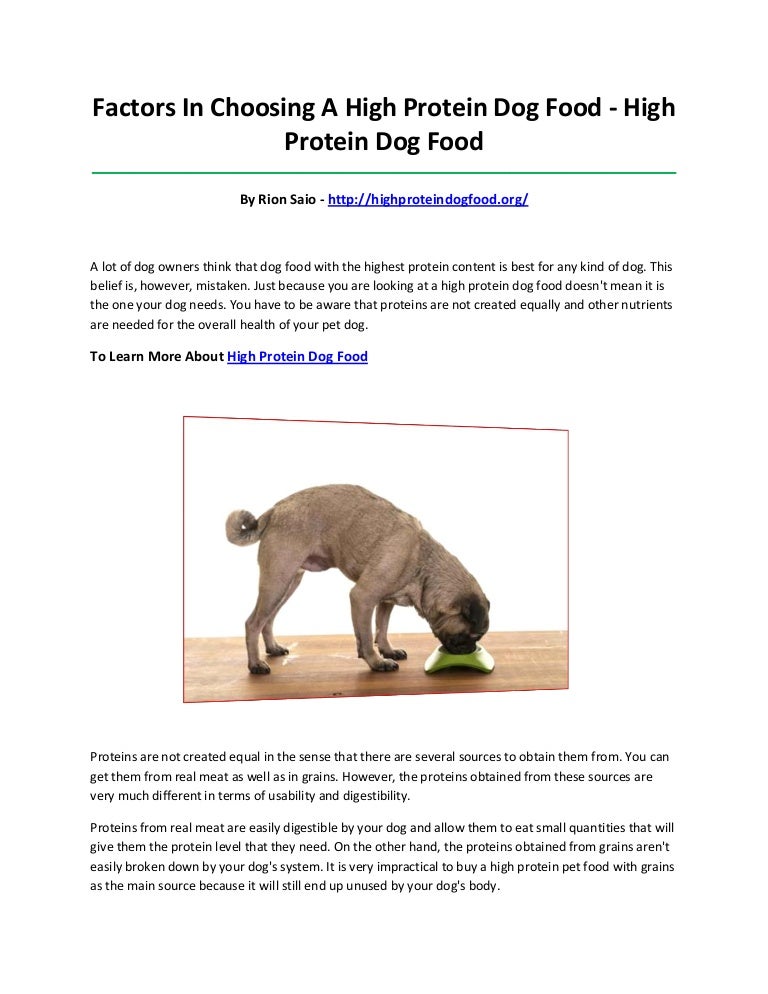 What Does High Protein Mean In Dogs