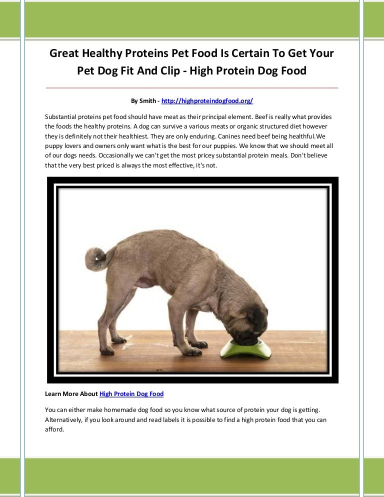 High protein dog food
