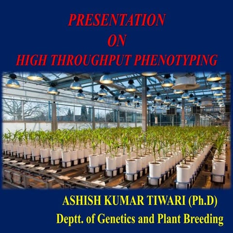 High throughput phenotyping