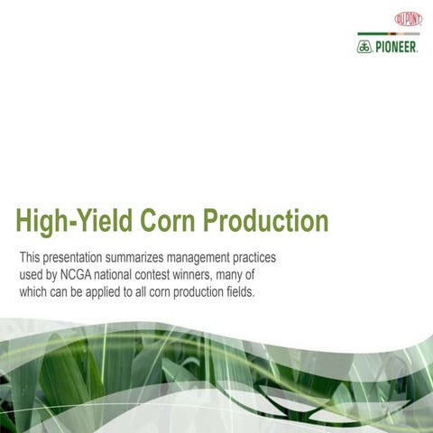 High-Yield Corn Production