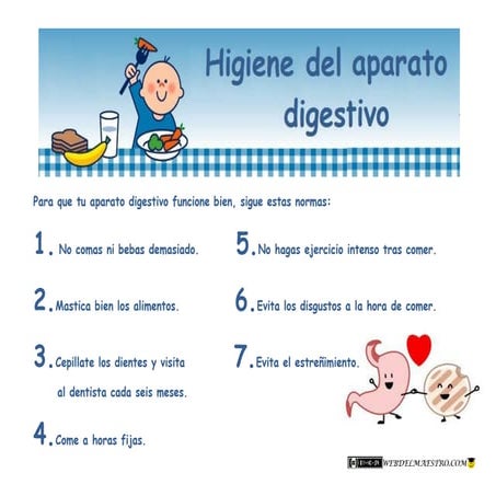 Higiene del-aparato-digestivo | PDF