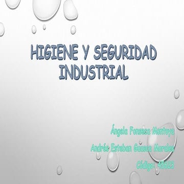 Higiene y seguridad industrial