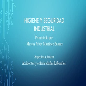 HIGIENE Y SEGURIDAD INDUSTRIAL.pdf