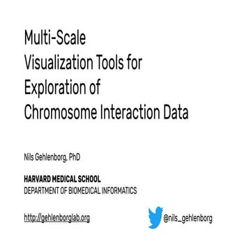 Multi-Scale  Visualization Tools for  Exploration of  Chromosome Interaction ...
