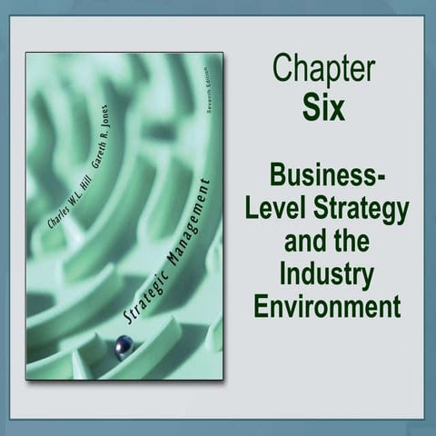 business level strategy and the industry environment