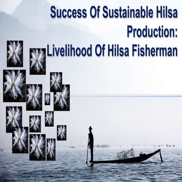 44. Hilsa Fish-1, Economic importance.pptx