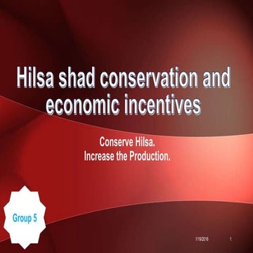 Hilsa shad conservation andeconomic incentives