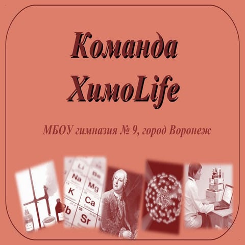 Приветствие команды "ХимоLife"