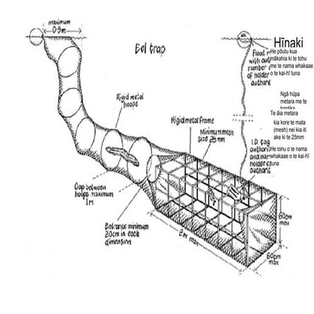 Ngā rauemi hāpai i tā mātou rangahau me te toi mō ngā tuna me ngā hīnaki