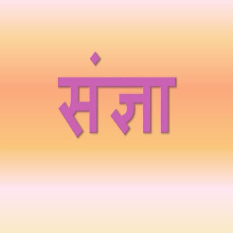 noun in hindi
