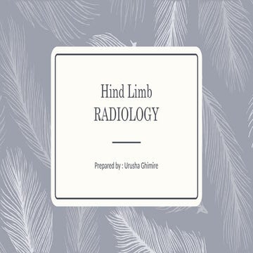 Radiology anatomy of hindlimb of Dog and affections