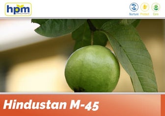 HPM Hindustan M-45 (Fungicides) Presentation