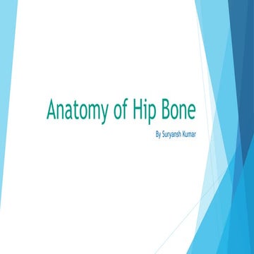 Hip bone (Gross Anatomy) | PPTX