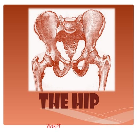 Hip & Developmental Dysplasia of Hip.ppt