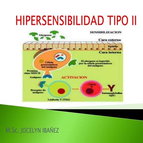 Hipersensibilidad tipo ii