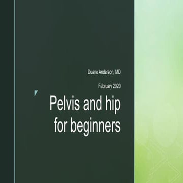 Hip and pelvis for beginners | PPT