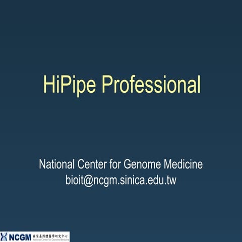 HiPipe Professional