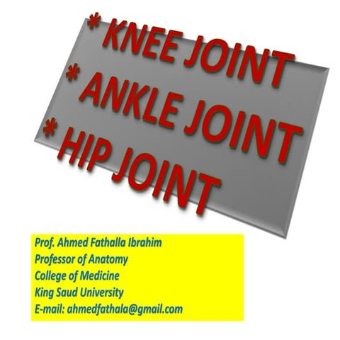 Hip, Knee & ankle joints (1).pdf lowerlimb | PDF