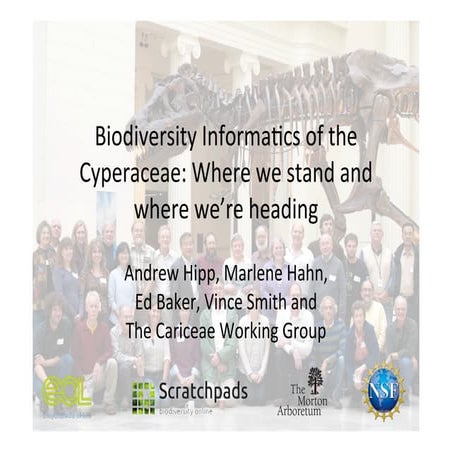Biodiversity Informatics of the Cyperaceae: Where we stand and where we’re heading