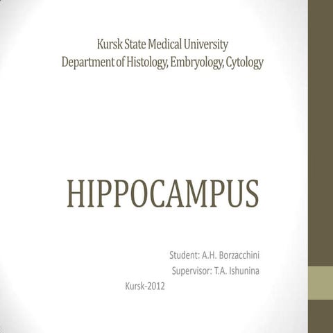 Hippocampus