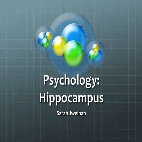 Hippocampus