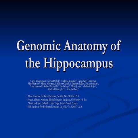 Genomic Mapping of Hippocampus