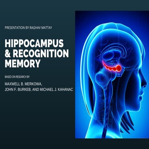 Hippocampus & Recognition Memory by Raghav Mattay