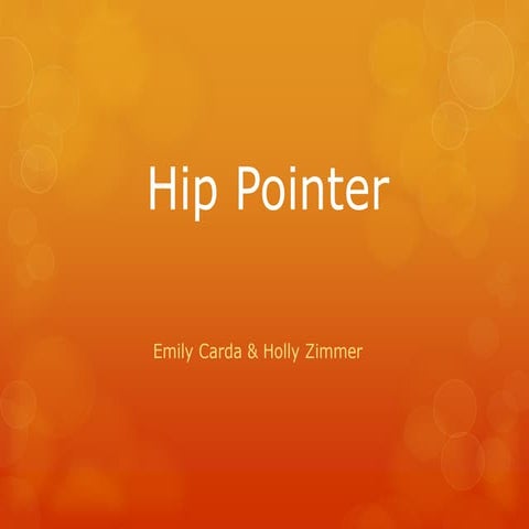 Hip Pointer