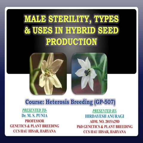 Male sterility, types and utilization in hybrid seed production