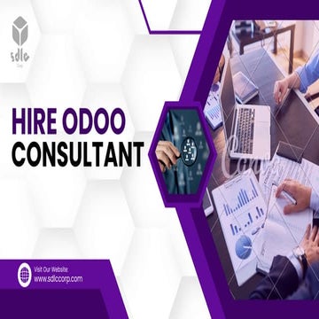 Hire Odoo Consultant                .pdf