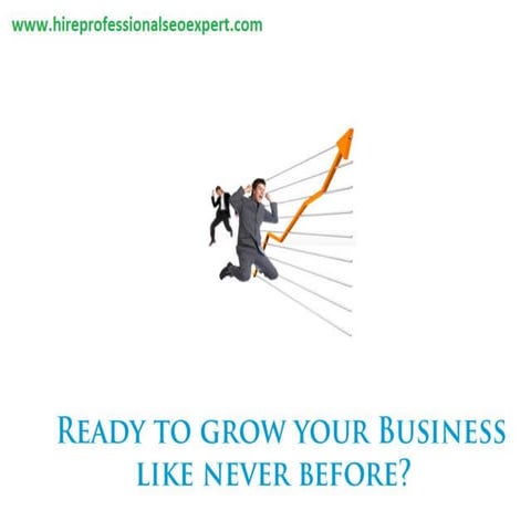 Hireprofessionalseoexpert