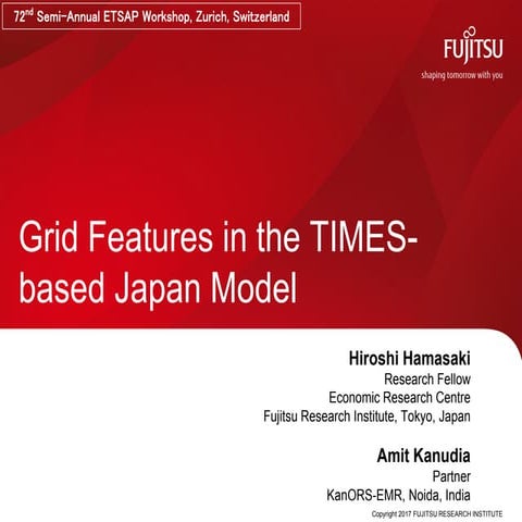 Grid Features in the TIMES-based Japan Model