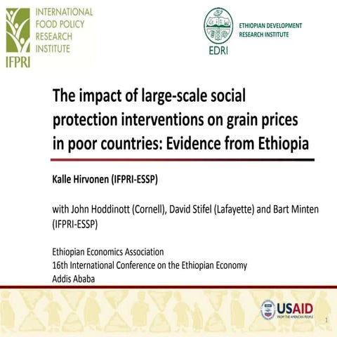 The impact of large-scale social protection interventions on grain prices in ...