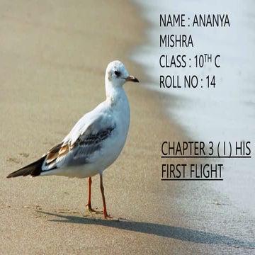 His first flight.pptx