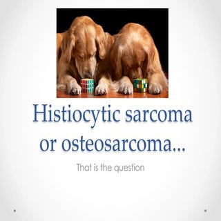 Histiocytic sarcoma or Osteosarcoma...