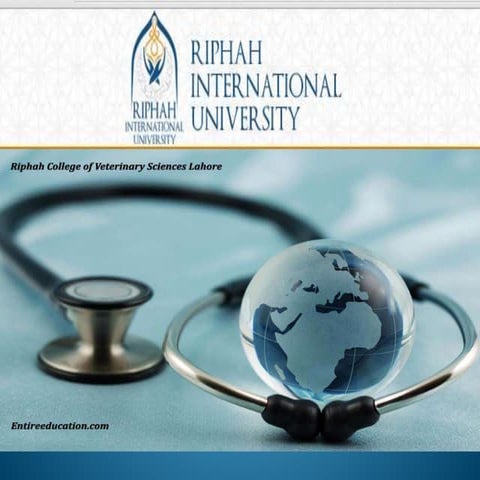 Tissue Preparation Histology