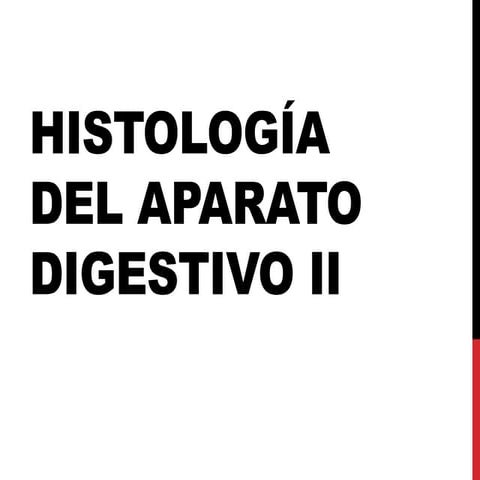 Histología del Aparato Digestivo II