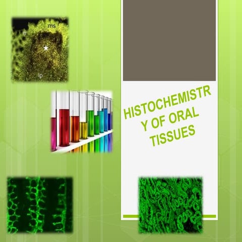 Histochemistry of oral tissues