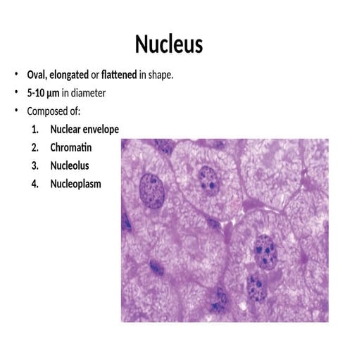 Histology of the Cell-Nucleus-2022 -HL.ppt