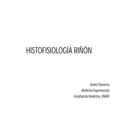 Histofisiología de riñón